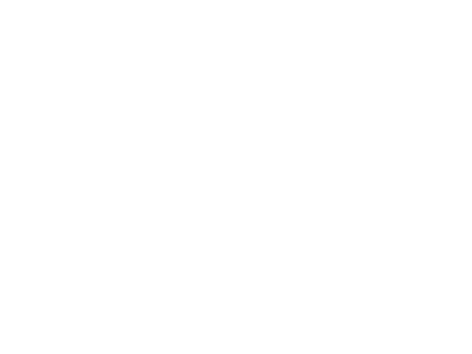 Lauri Larvus's hand written signature